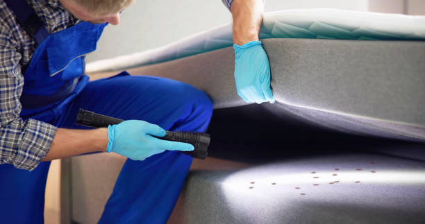 Best Mosquito Control Services  in Corralitos, CA