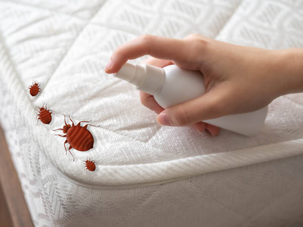 Best Mosquito Control Services  in Corralitos, CA