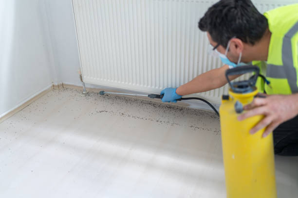 Best Affordable Pest Control Services  in Corralitos, CA