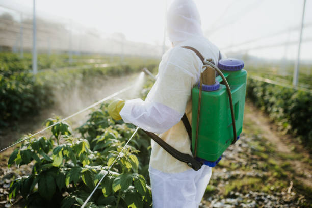 Best Local Pest Control Services  in Corralitos, CA